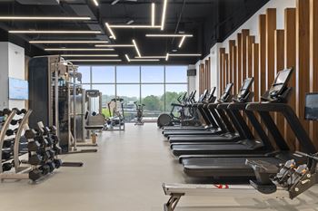 A row of cardio machines in a gym with a window